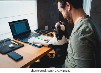 Freelancer man working from home with his dog sitting together in the office.Side view of man using laptop at home with cute dog - Shutterstock ID 1717415167