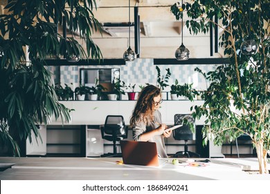 Freelancer Woman Using Laptop At Comfortable Office, Green Co-working Modern Workplace 