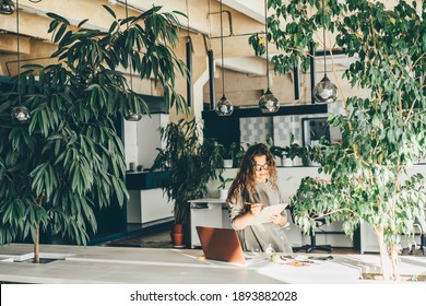 Freelancer Woman Using Laptop At Comfortable Office, Green Co-working Modern Workplace 