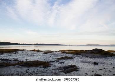 Freeport Maine Low Tide