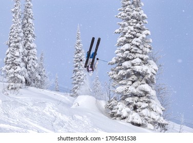 A Freerider In Bright Gear Jumps Between Christmas Trees With A Backflip Element. Prof Skier In A Beautiful Flight At High Altitude. Winter Fun At The Ski Resort. Good Powder Day. Funny Skiing