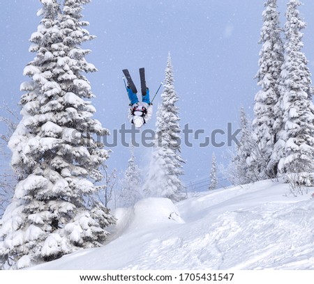 a Freerider in bright gear jumps between Christmas trees with a backflip element. prof skier in a beautiful flight at high altitude. Winter fun at the ski resort. Good powder day. Funny skiing