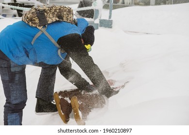 Freerider Digging Snow Avalanche To Safe A Person Buried By An Avalanche. Danger Extreme Concept