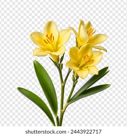 Freesia flower isolated on transparent background - Powered by Shutterstock