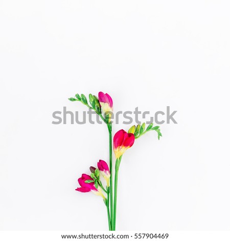 Similar – Image, Stock Photo Palm leaves and tropical flowers frame on white