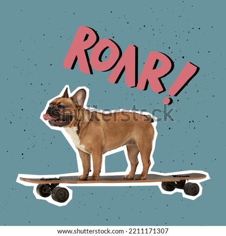 Freestyle. Artwork. One cute dog standing on skate. Animal in human life. Contemporary pop art collage, design in magazine style on color background. Animals with human emotions. Concept of creativity