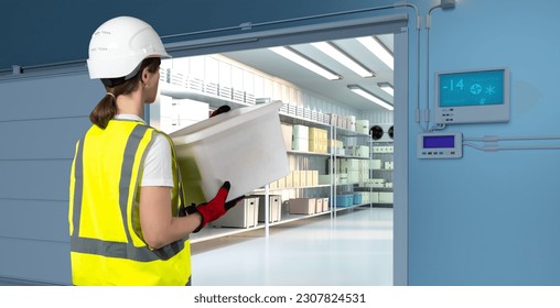 Freezer warehouse. Woman with box with back to camera. Girl enters freezer warehouse. Industrial refrigerator. Freezer warehouse with temperature sensor. Woman in cold store with shelving - Shutterstock ID 2307824531