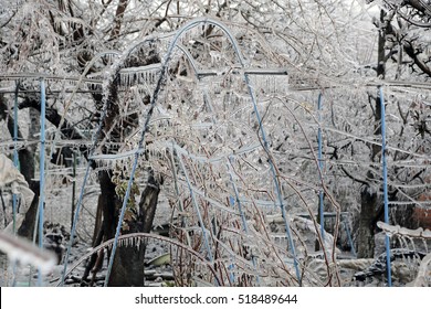 Freezing Rain