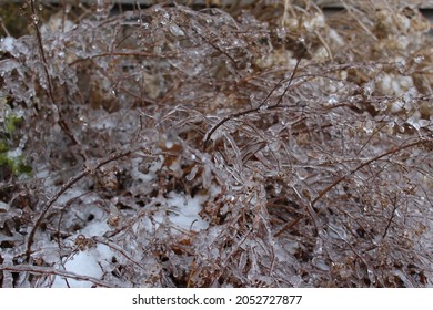 Freezing Rain Backyard Winter Canada