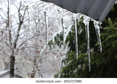 Freezing Rain Backyard Winter Canada