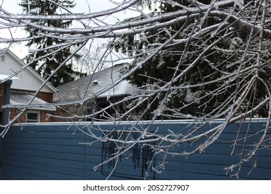 Freezing Rain Backyard Winter Canada