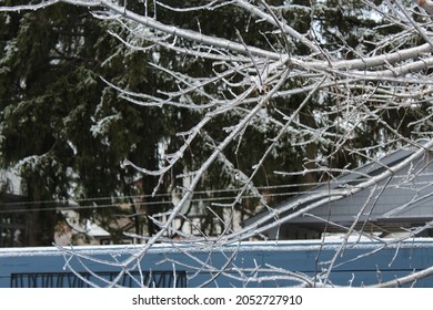 Freezing Rain Backyard Winter Canada