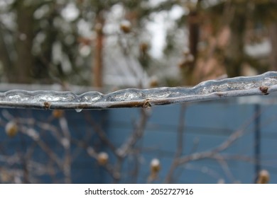 Freezing Rain Backyard Winter Canada