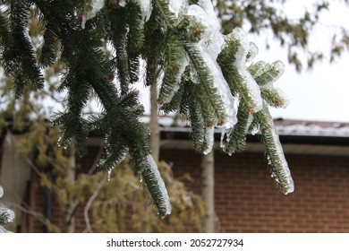 Freezing Rain Backyard Winter Canada