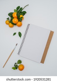 Frehs Clementines - Citrus Clementina - And Sketchpad On White Background. Hybrid Of Small-sized Tangerines. Overhead, Copy Space. 