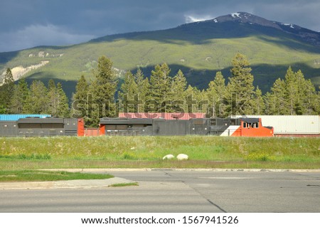 Freight comtainer train in Jasper. Alberta. Canada.