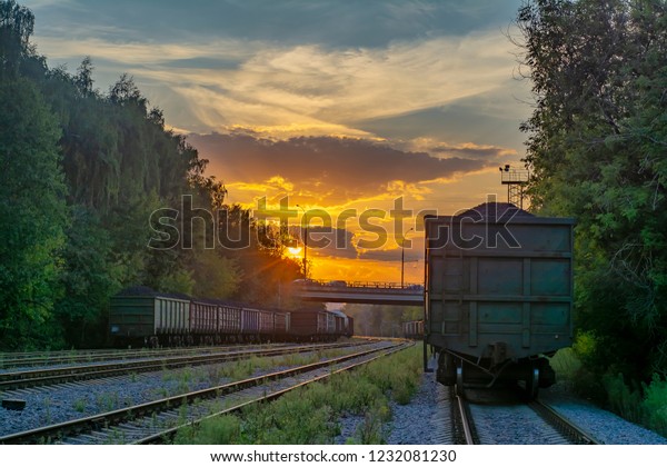 Freight railway cars stand at the freight station\
in the forest at sunset