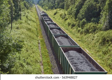 Freight Train With Coal In Forest