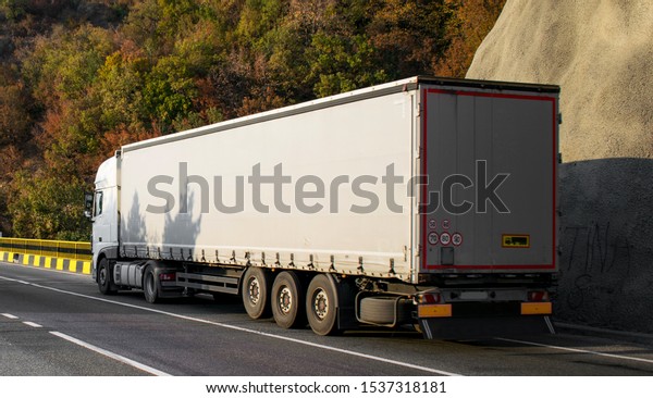 freight truck. Rear view. The truck is white\
without logo.