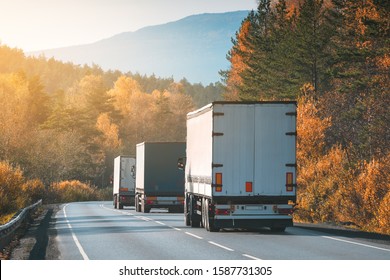 Freight trucks on the autumn road.