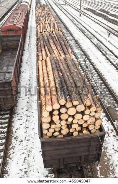 Freight\
wagons with logs on the railroad in\
winter.