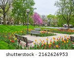 Freimann Square in downtown Fort Wayne, Indiana during peak spring with stunning tulip garden