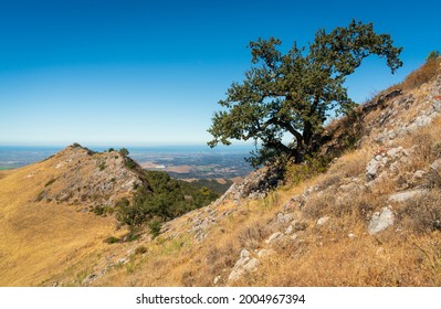 Fremont Peak State Park In California