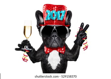 french bulldog dog celebrating 2017 new years eve with champagne glass , victory and peace finger,  isolated on white background