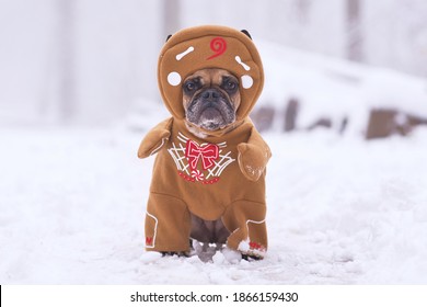 French Bulldog Dog Dressed Up With Funny Christmas Gingerbread Full Body Costume With Arms And Hat In Winter Snow Landscape