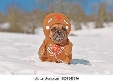 French Bulldog Dog Dressed Up With Funny Christmas Gingerbread Full Body Costume With Arms And Hat In Winter Snow Landscape