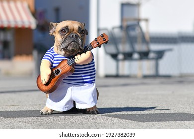 French Bulldog dog dressed up with street performer musician costume wearing striped shirt and fake arms holding a toy guitar standing in city street on sunny day - Shutterstock ID 1927382039