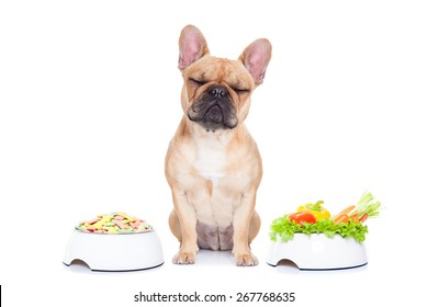 french bulldog  dog has the choice between right healthy  and wrong unhealthy  food, isolated on white background