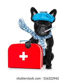 French Bulldog Dog  With  Headache And Hangover With Ice Bag Or Ice Pack On Head, Eyes Closed Suffering , Isolated On White Background, Holding First Aid Kit