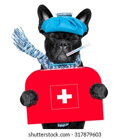 French Bulldog Dog  With  Headache And Hangover With Ice Bag Or Ice Pack On Head, Eyes Closed Suffering ,holding A First Aid Kit Isolated On White Background