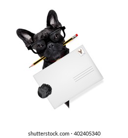  French Bulldog Dog , Holding Pencil And Post Envelope