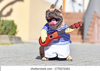French Bulldog dog with mouth wide open as if singing, dressed up as street performer musician wearing a costume with striped shirt and fake arms holding toy guitar standing in city - Shutterstock ID 1770272363
