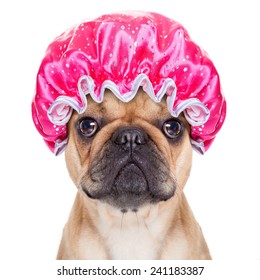 French Bulldog Dog Ready To Have A Bath Or A Shower Wearing A Bathing Cap, Isolated On White Background