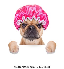 French Bulldog Dog Ready To Have A Bath Or A Shower Wearing A Bathing Cap, Isolated On White Background