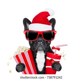 french bulldog dog ready to watch a movie at the cinema  theater,  holding coke, popcorn and ticket , on christmas holidays vacation with santa claus hat
