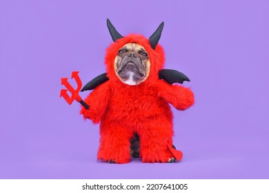 French Bulldog dog with red devil Halloween costume wearing a fluffy full body suit with fake arms holding pitchfork, with devil tail, horns and black bat wings on purple background