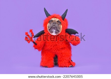 French Bulldog dog with red devil Halloween costume wearing a fluffy full body suit with fake arms holding pitchfork, with devil tail, horns and black bat wings on purple background