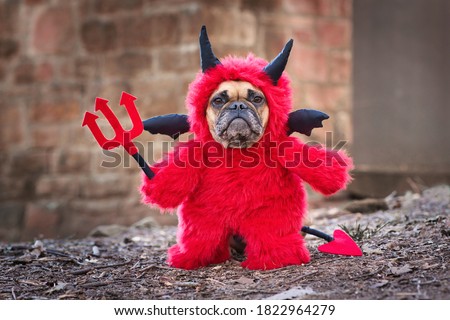 French Bulldog dog with red Halloween devil costume wearing a fluffy full body suit with fake arms holding pitchfork, with devil tail, horns and black bat wings standing in front of blurry wall