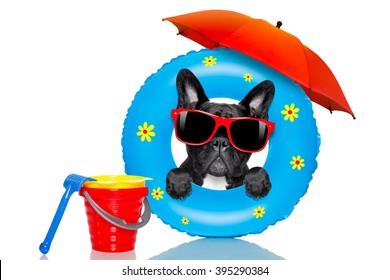 french bulldog dog relaxing on air mattress, with sunglasses   isolated on white background  on summer vacation holidays 


 