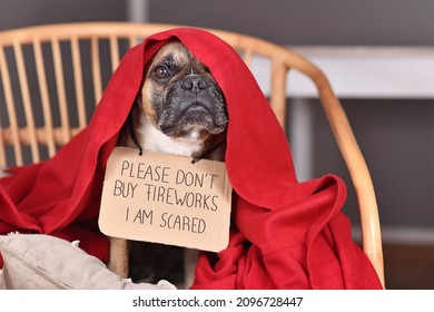 French Bulldog Dog With Sign 'Please Don't Buy Fireworks. I Am Scared' Hiding Under Blanket On New Year's Eve