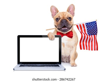 french bulldog  dog waving a flag of usa on independence day on 4th  of july , isolated on white background, behind a blank empty computer pc screen display