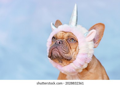 French Bulldog dog wearing funny unicorn costume headband in front of blue background with copy space