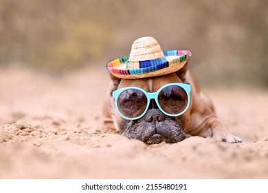 French Bulldog dog wearing sunglasses and straw hat at sand beach