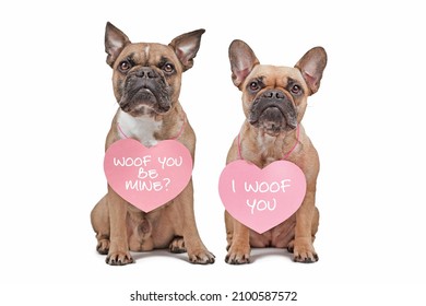 French Bulldog dogs with Valentine's Day hearts with text 'I woof you' and 'Will you be mine' around necks on white background - Shutterstock ID 2100587572