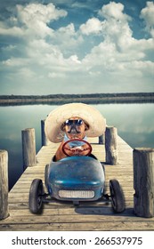 French Bulldog enjoys a ride in pedal car on footbridge at lake