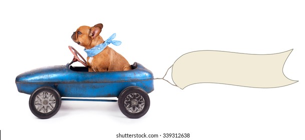 French Bulldog enjoys a ride in pedal car, with Banner Ready for Your Text and Design.